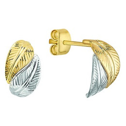 Boucles D'Oreilles  Plumes Bicolore - 1019050