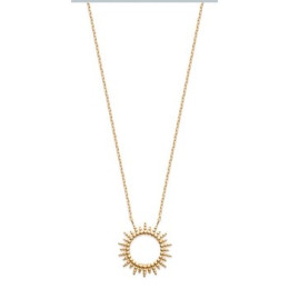 Collier Plaque Or - 1018088 1018088 - Marque Mdd1