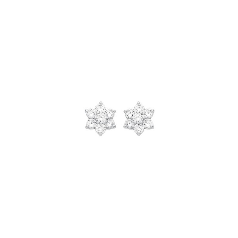 Boucles D'Oreilles  En Argent Et Oxydeydes
