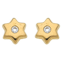 Boucles D'Oreilles etoile Or Jaune Avec Oxydeyde Avec Vis