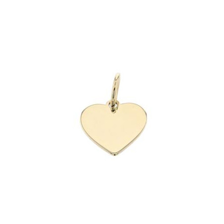 Pendentif Pendentif Cur Or Jaune 9K 1010592 - Marque Collection Julien D'Orcel  Or 375/1000 - Couleur Jaune -