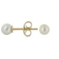 BIJOU COLLECTIONL B10354