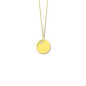 Pendentif Pendentif Plaque Ronde Papillon Decoupe 1006809 - Marque Collection Julien D'Orcel  Or 375/1000