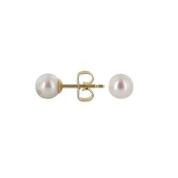 Collection Julien D'Orcel B10555