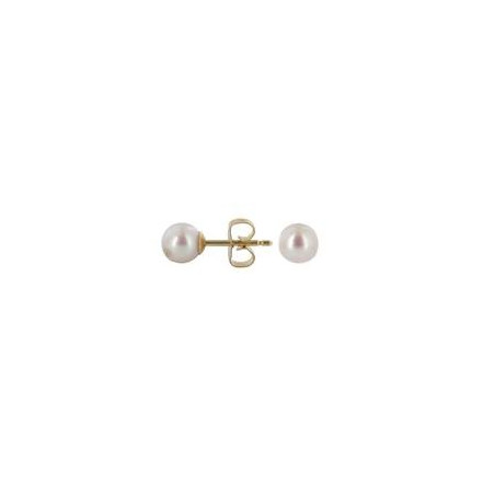 Collection Julien D'Orcel B10555