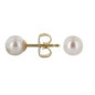Collection Julien D'Orcel B10555