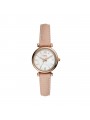 Montre Femme Fossil - Collection Carlie Mini JF01702040