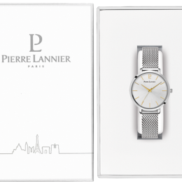 PIERRE LANNIER CHOUQUETTE ARGENTÉ ACIER 034N621