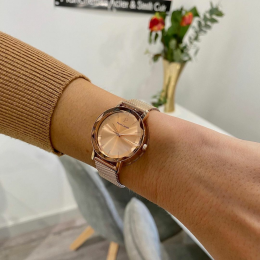 PIERRE LANNIER MULTIPLES DORÉ ROSE ACIER 010P958