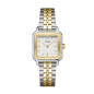 Cluse - Montre Femme  Gracieuse Petite blanche - ref CW11801