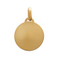 Anamila - Pendentif plaque ronde 2,2 cm plaqué or Ref 1018279