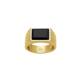 Phebus - Bague Robin acier Ref 15-0414-68