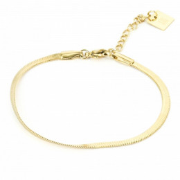 ZAG - Bracelet Pur acier doré 15+3cm Ref SBS7232-01UNI
