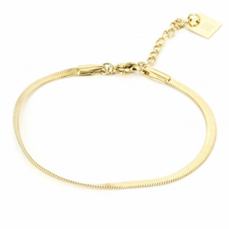 ZAG - Bracelet Pur acier doré 15+3cm Ref SBS7232-01UNI