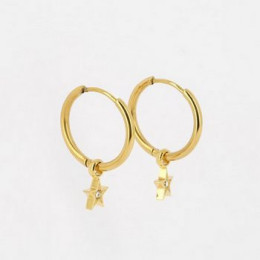 ZAG - Boucles d'oreilles Astrid acier doré avec oxydes de zirconium 15mm Ref SEC18410-01UNI