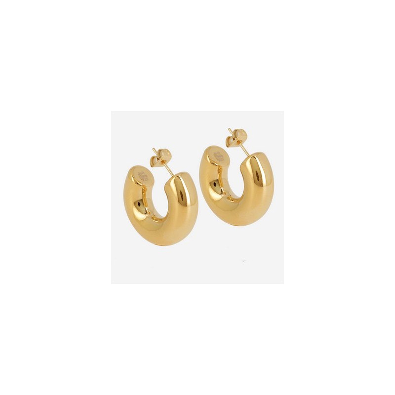 ZAG - Boucles d'oreilles Thais acier doré 25x8mm Ref SEC21313-01UNI8X25