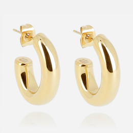ZAG - Boucles d'oreilles Subtile acier doré 16x20mm Ref SEC22961-01UNI