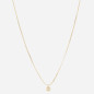 ZAG - Collier Simple acier doré avec oxydes de zirconium 38+5cm Ref SNS24291-01WHT